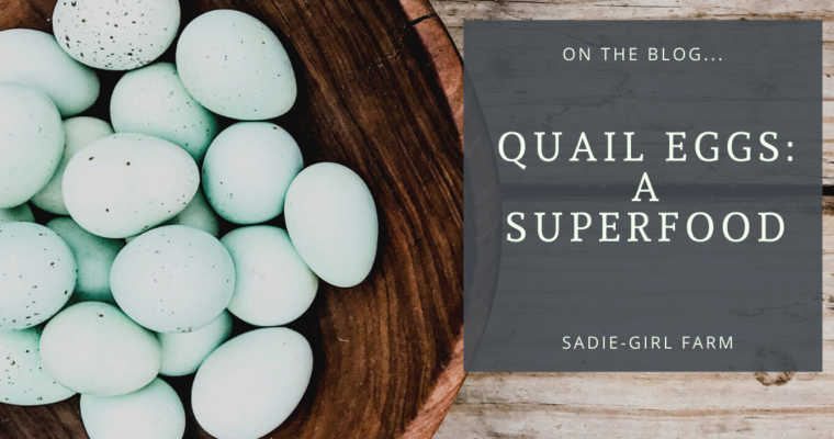 Quail Eggs:  A Superfood.