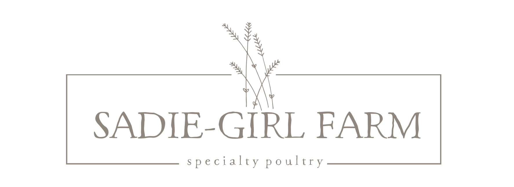 sadie girl farm