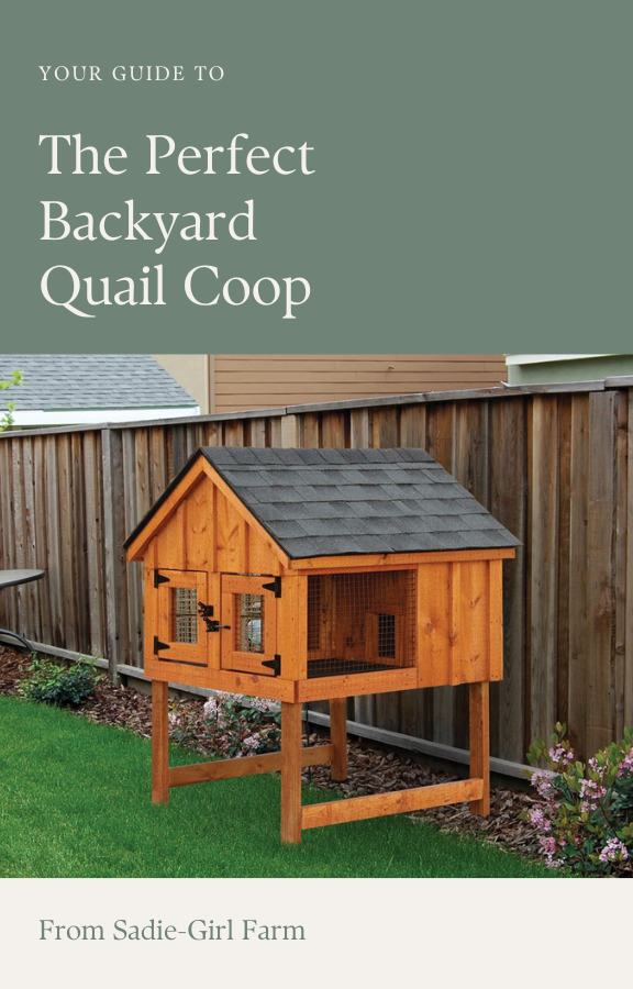 quail coop guide